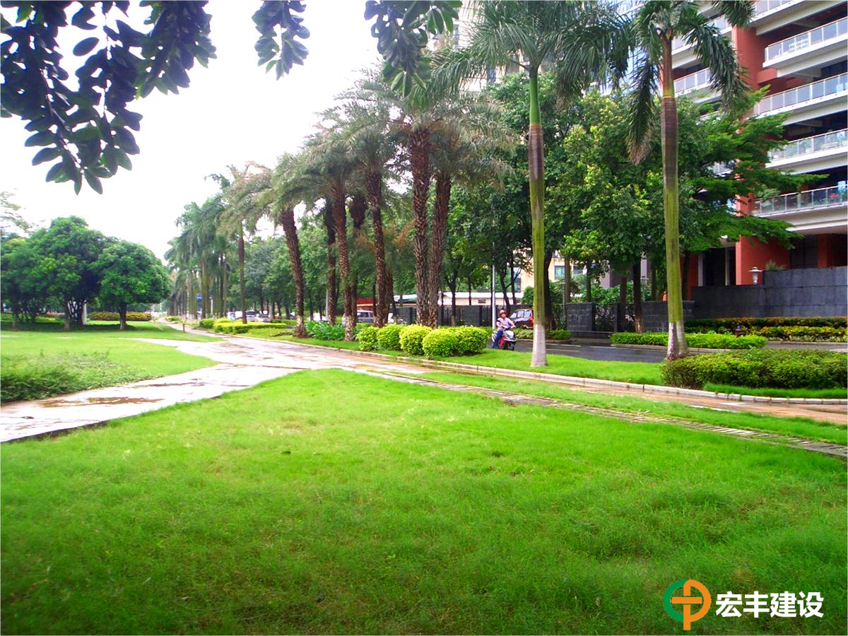 城區(qū)建設(shè)開發(fā)中心綠化管養(yǎng)項目